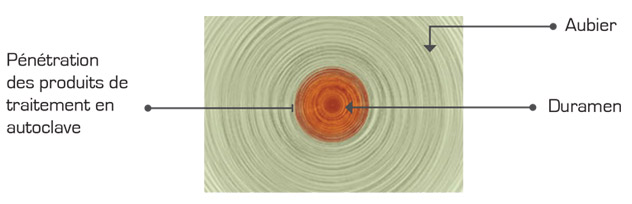 Schéma de la pénatration des produits autoclave